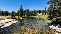 Wandeling bij tioga pass