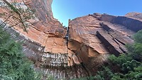 IMG_0809