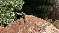 IMG_0795