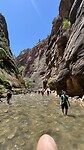 IMG_0785
