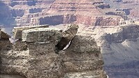 IMG_0917