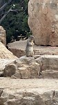 IMG_0913
