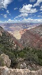 IMG_0908