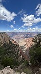 IMG_0906