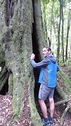 Ron en boom
