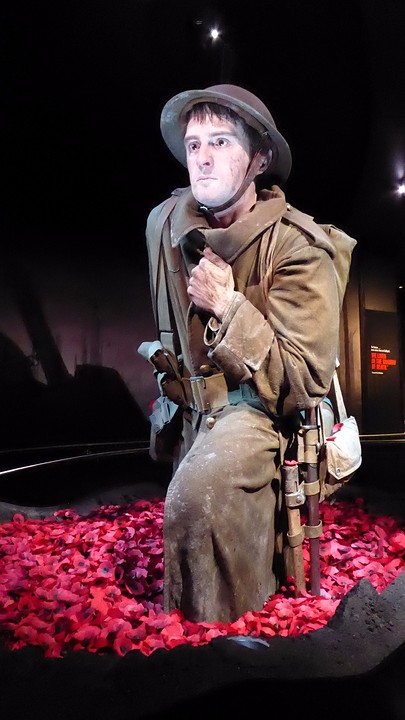 Museum Te Papa WO 1