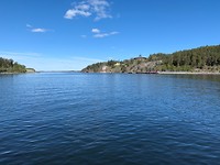 IMG_0239