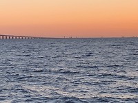IMG_0219