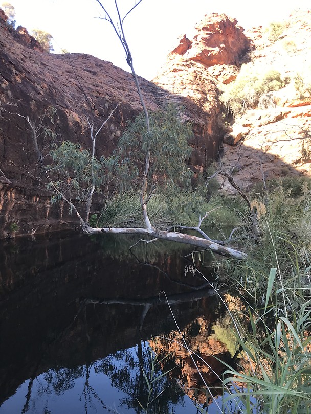 Kings canyon