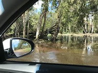 Route door rivier met krokodillen