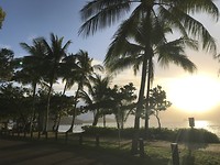 Strand Palm Cove