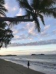 Strand palmcove