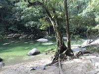 Mossman