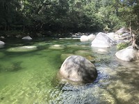 Mossman