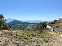 sabie