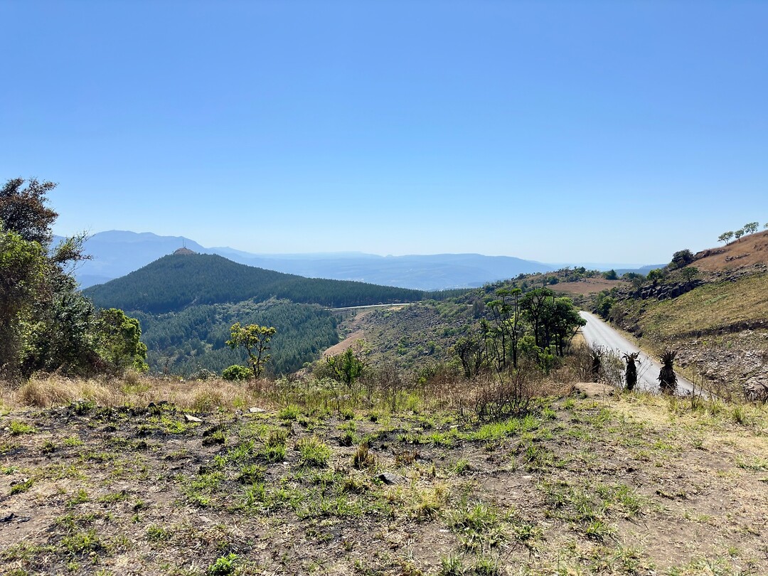 sabie