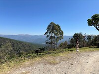 Sabie