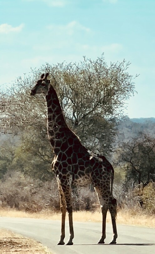 standing high and tall