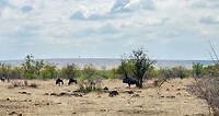 IMG_5862