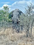 close encounter