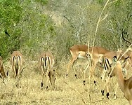 IMG_5840