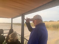 Looking for crocs