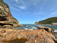 The heads view