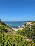 Hermanus langs de kust