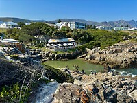 Hermanus