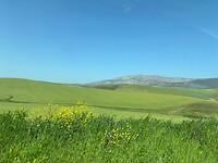 Onderweg naar Hermanus