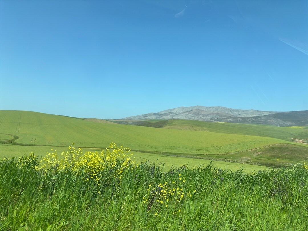 Onderweg naar Hermanus