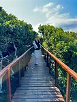 morning walk