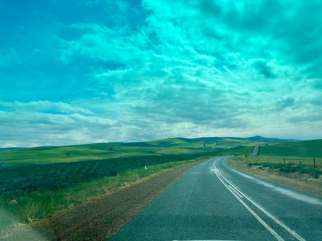 Onderweg naar Franschhoek