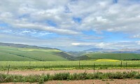 Vergezicht onderweg naar Franschhoek