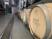 wijnvaten bij Mont Rochelle
