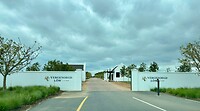 Wine estate Vergenoegd