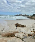 Llandudno beach