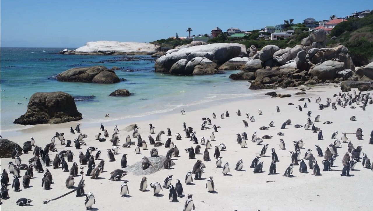 Boulder beach