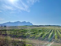 Onderweg naar Stellenbosch
