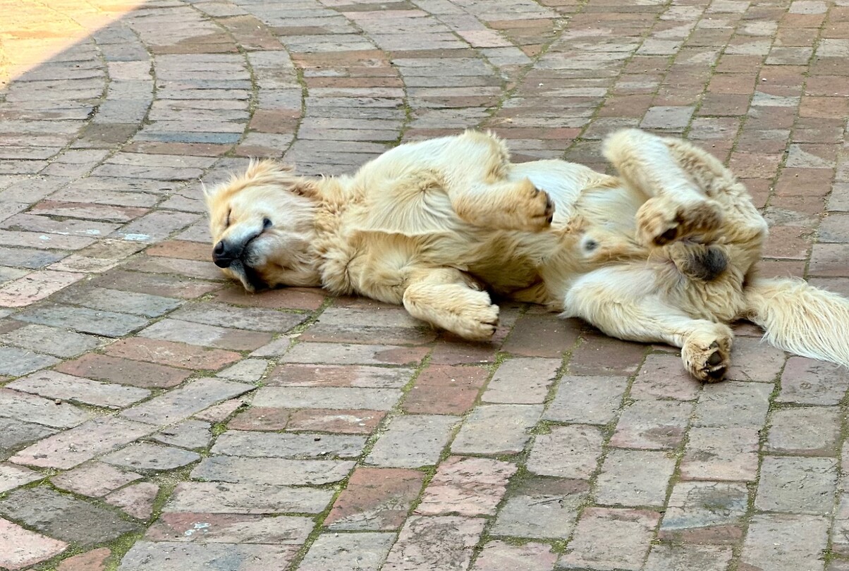 Jules had het ook warm