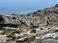 het landschap bovenop de Tafelberg