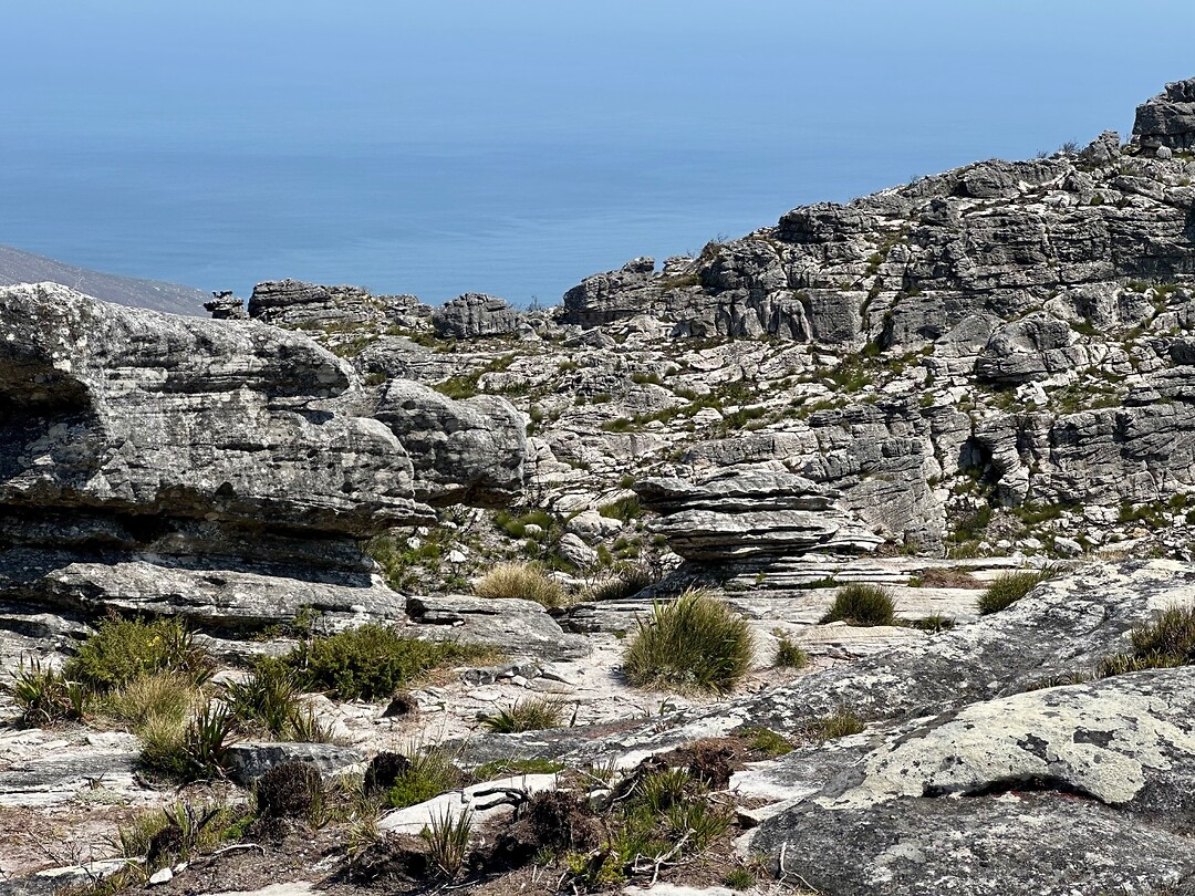 het landschap bovenop de Tafelberg
