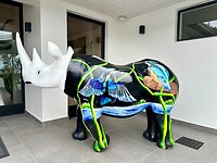 Rhino