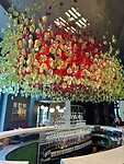 Bar bij golfbaan Steenberg