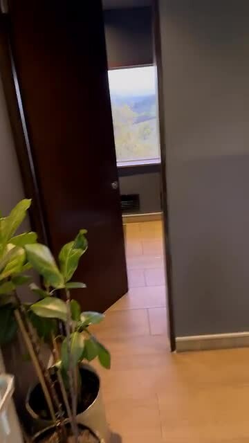 Loo with a view