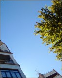 Blauwe hemel