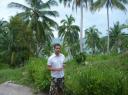 Zon, water en palmbomen
