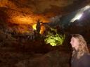 Roos in de enorme grot