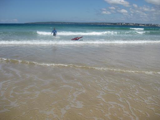 Roos op surfbord