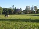 Granny's Farm